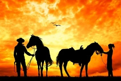 טיול סוסים רומנטי בין ערביים