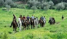 Horseback riding tours